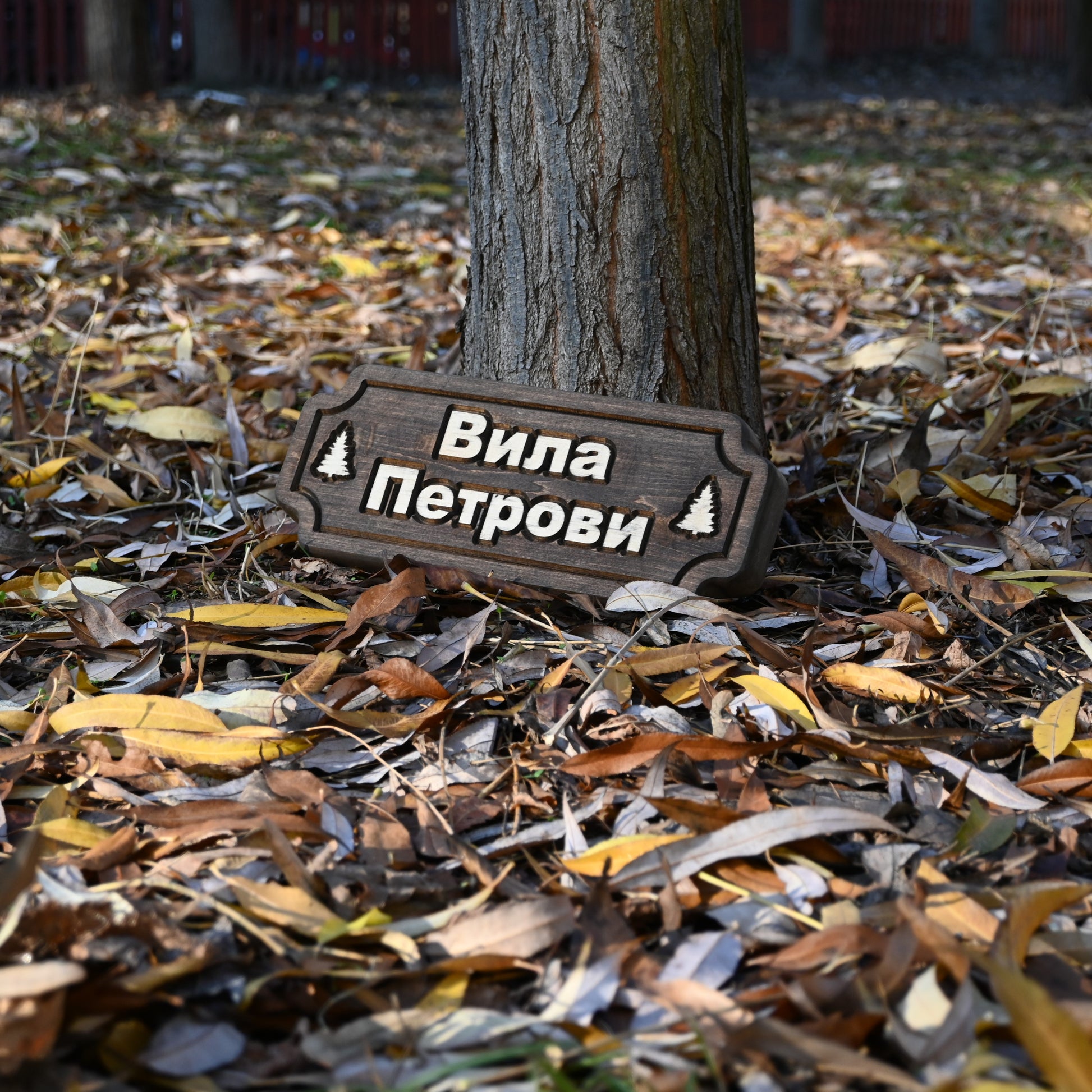 Дървена табела "Балкан" от масивно дърво за декорация на стена